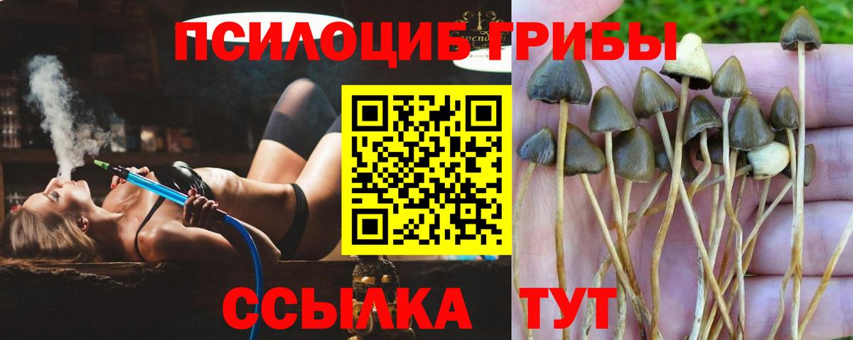 Псилоцибиновые грибы Magic Shrooms Гуково